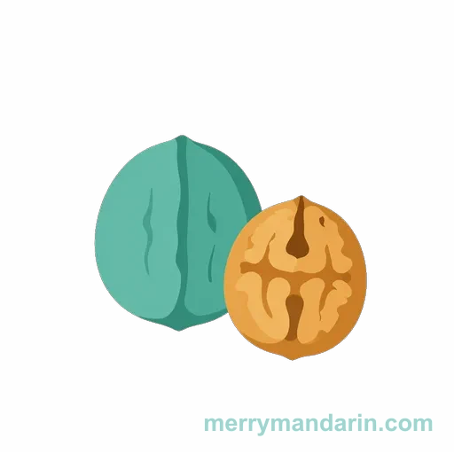A walnut with its distinctive deeply ridged shell